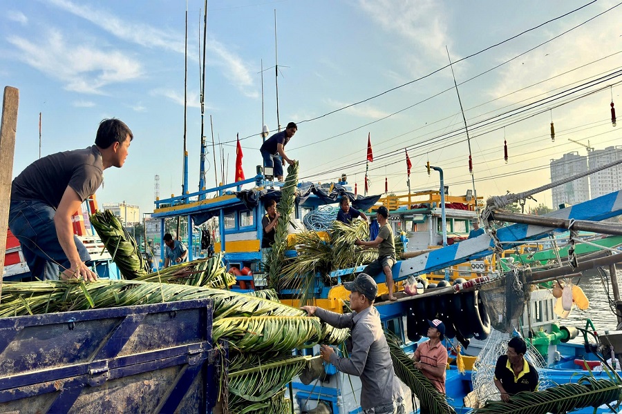 Cảng c&aacute; Phan Thiết rộn r&agrave;ng.