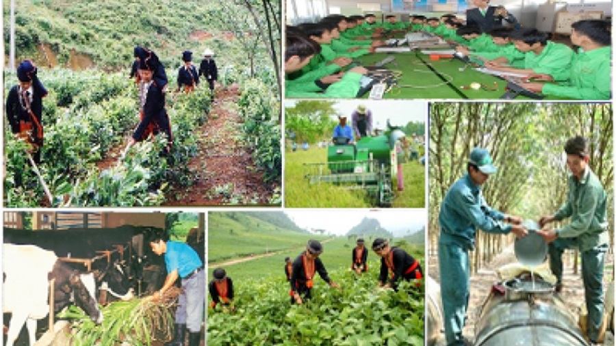 Đổi mới to&agrave;n diện, n&acirc;ng cao chất lượng đ&agrave;o tạo nghề cho lao động n&ocirc;ng th&ocirc;n