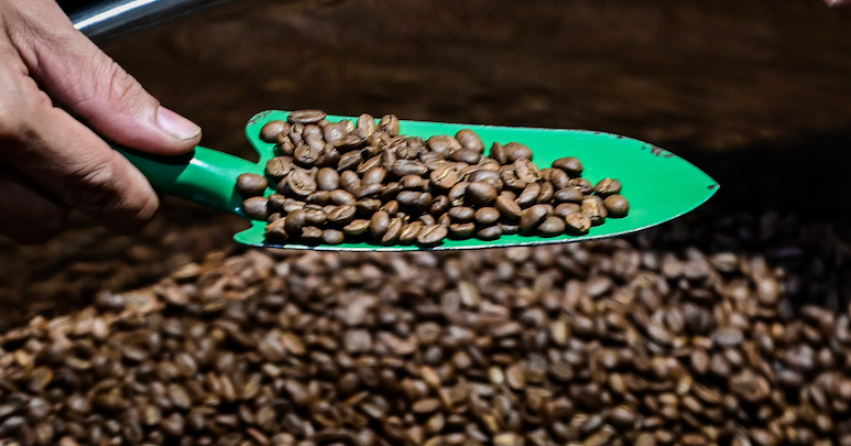 Cà phê Việt xuất khẩu 1,53 tỷ USD, nhiều thị trường chi gấp 3-4 lần mua “vàng nâu”