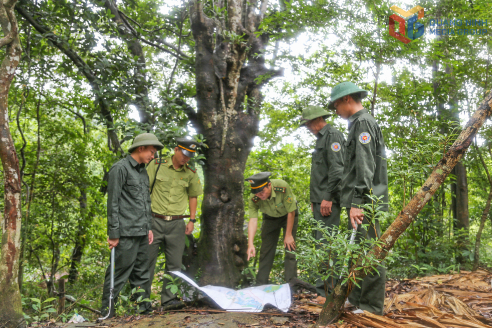 Lực lượng chức năng phối hợp tuần tra, bảo vệ rừng ph&ograve;ng hộ thuộc địa b&agrave;n x&atilde; Hải Sơn, tỉnh Quảng Ninh