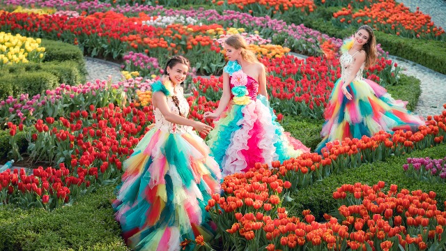 TP.Đ&agrave; Nẵng đang tổ chức Lễ hội Tulip tr&ecirc;n m&acirc;y 2026, chuỗi show diễn ngo&agrave;i trời (Love in the Sky, Solar Warrior)...