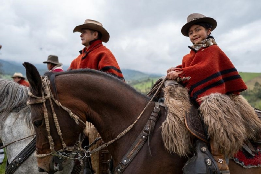 Một cộng đồng ở Ecuador sử dụng ngựa để trồng c&acirc;y h&agrave;ng loạt ở v&ugrave;ng n&uacute;i cao. Ảnh: Todd Brown / UNEP
