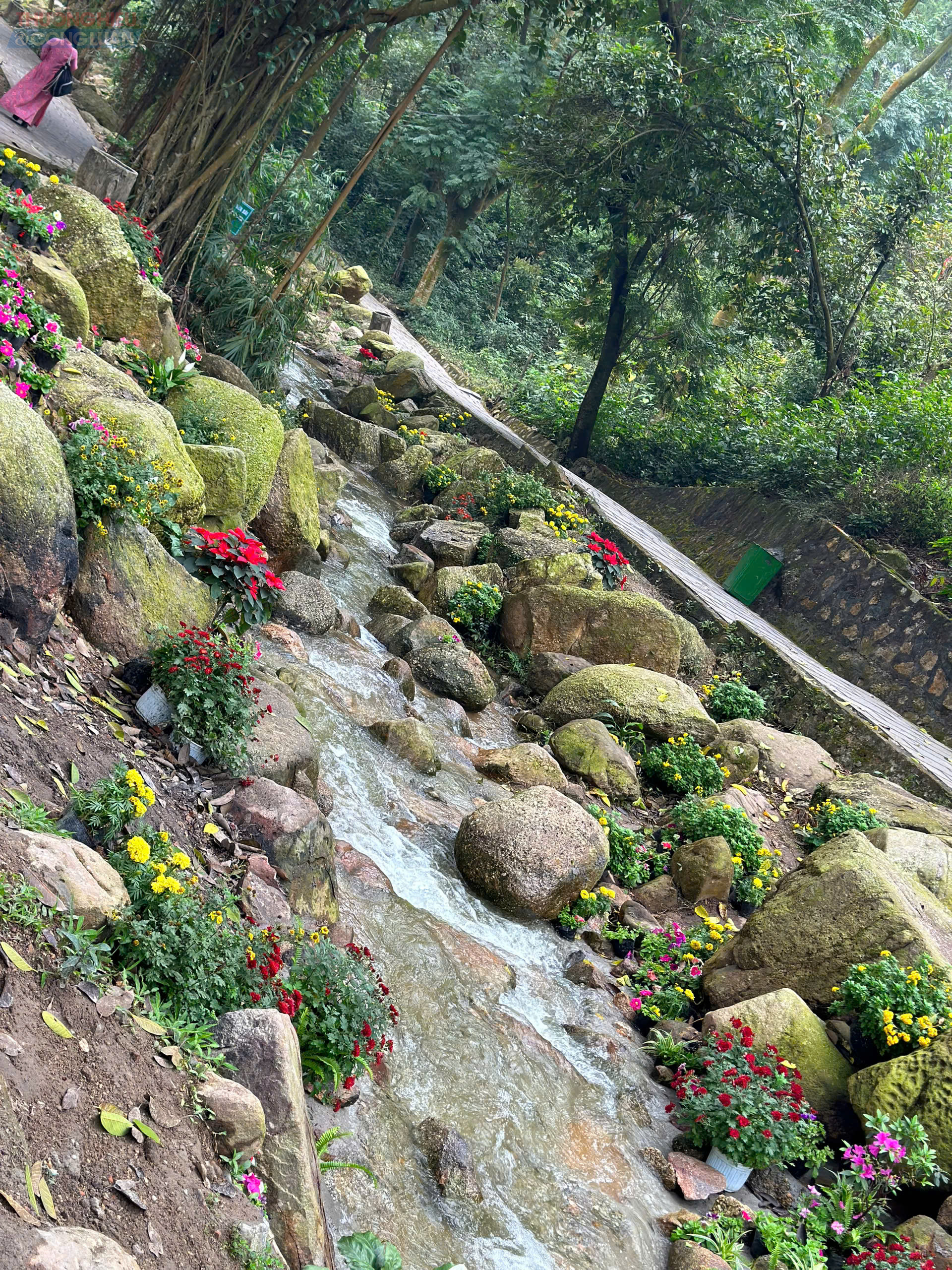 Suối C&ocirc;n Sơn.