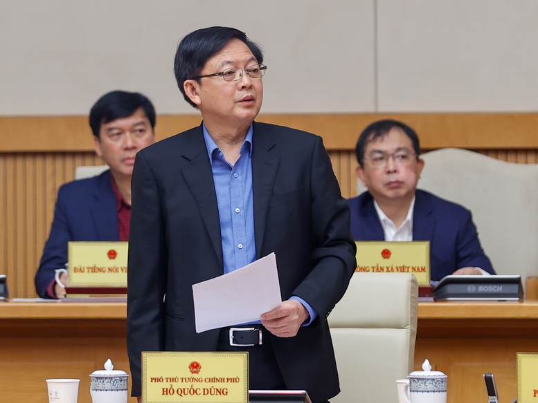 Ph&oacute; Thủ tướng Hồ Quốc Dũng ph&aacute;t biểu - Ảnh: VGP/Nhật Bắc