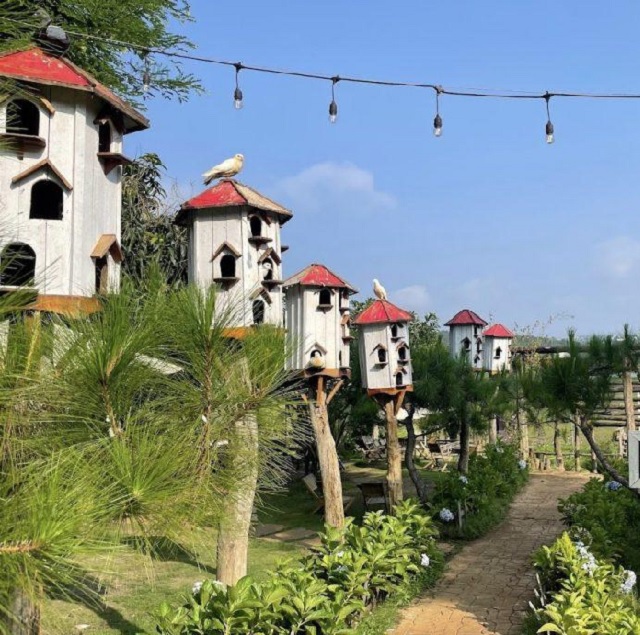 &ldquo;Th&ocirc;ng Farm & Bistro&rdquo;, một địa chi caf&eacute; nổi tiếng ở Pleiku &ndash; Gia Lai.