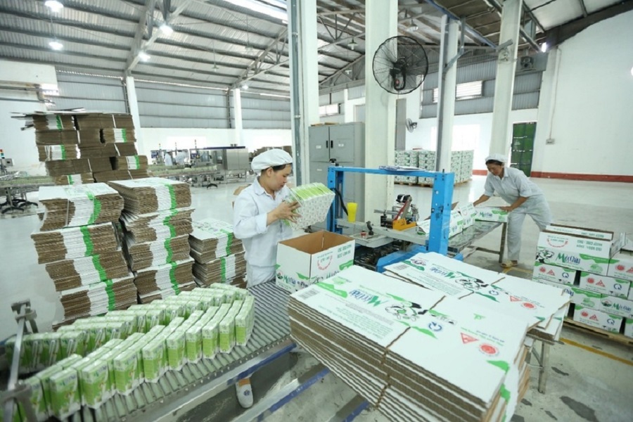 Li&ecirc;n minh ch&acirc;u &Acirc;u ng&agrave;y c&agrave;ng ưu ti&ecirc;n c&aacute;c sản phẩm xanh h&oacute;a. Ảnh: H&ugrave;ng Anh