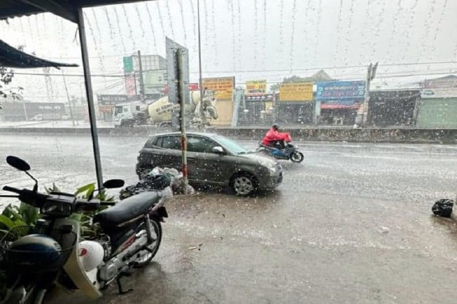 Mưa tr&ecirc;n diện rộng tại L&acirc;m Đồng gi&uacute;p l&agrave;m sạch đường phố, c&acirc;y cối được 