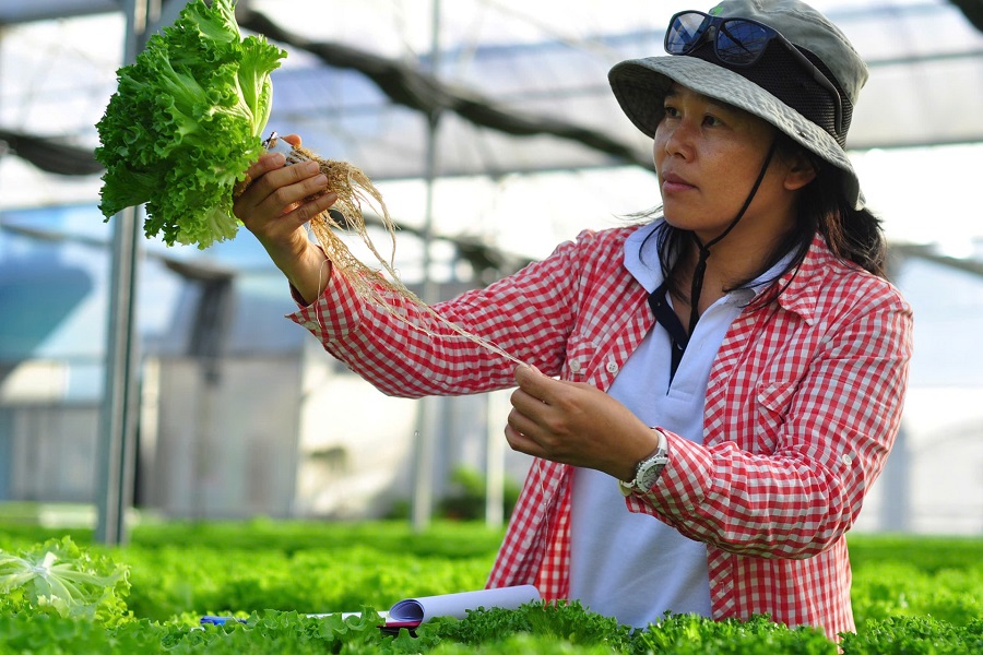 Năm 2026, L&acirc;m Đồng hướng tới tăng trưởng n&ocirc;ng nghiệp bền vững. Ảnh: L&ecirc; Th&agrave;nh