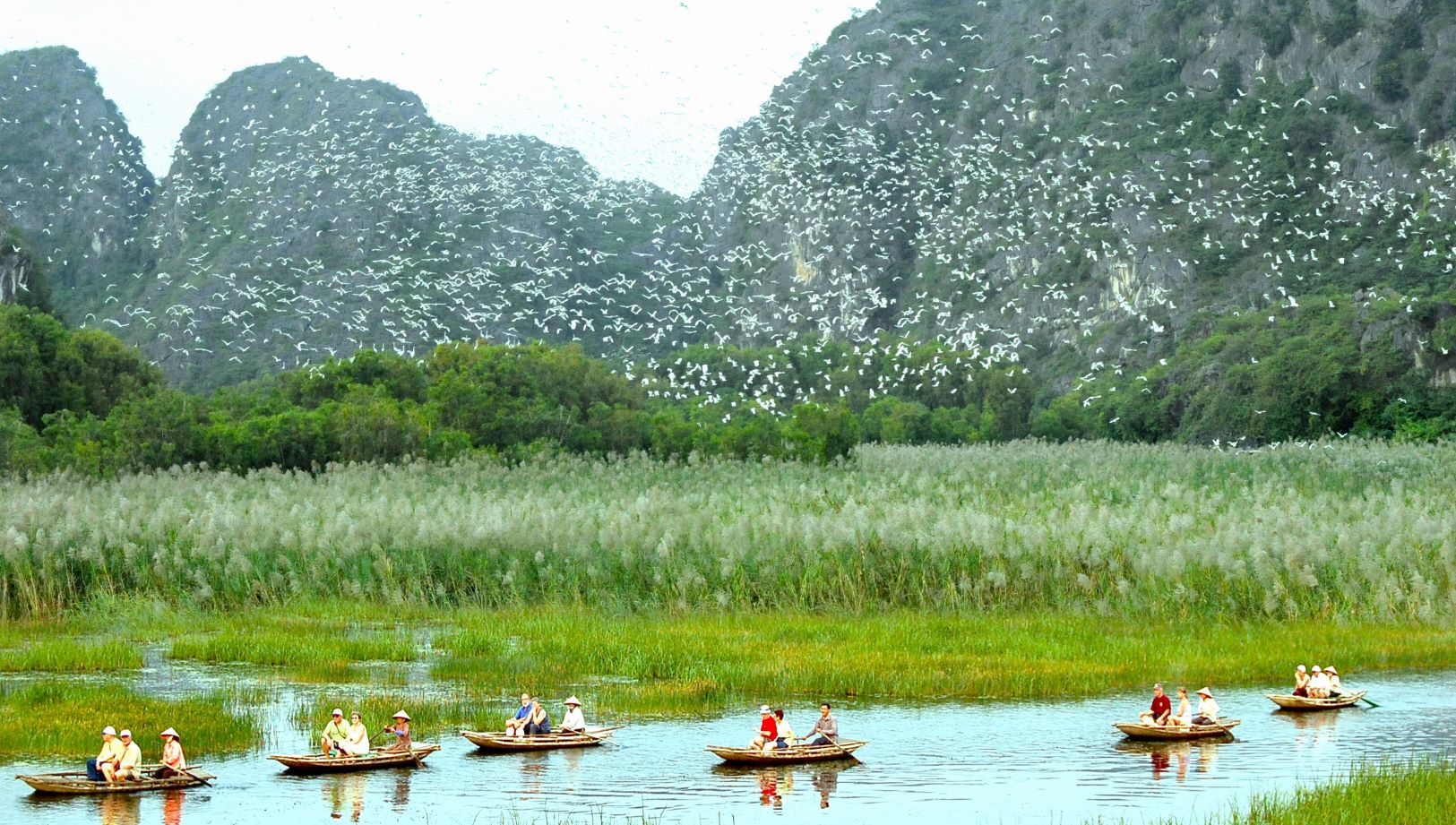 Khu bảo tồn thi&ecirc;n nhi&ecirc;n đất ngập nước V&acirc;n Long l&agrave; khu Ramsar thứ 9 v&agrave; sở hữu 2 kỷ lục của Việt Nam