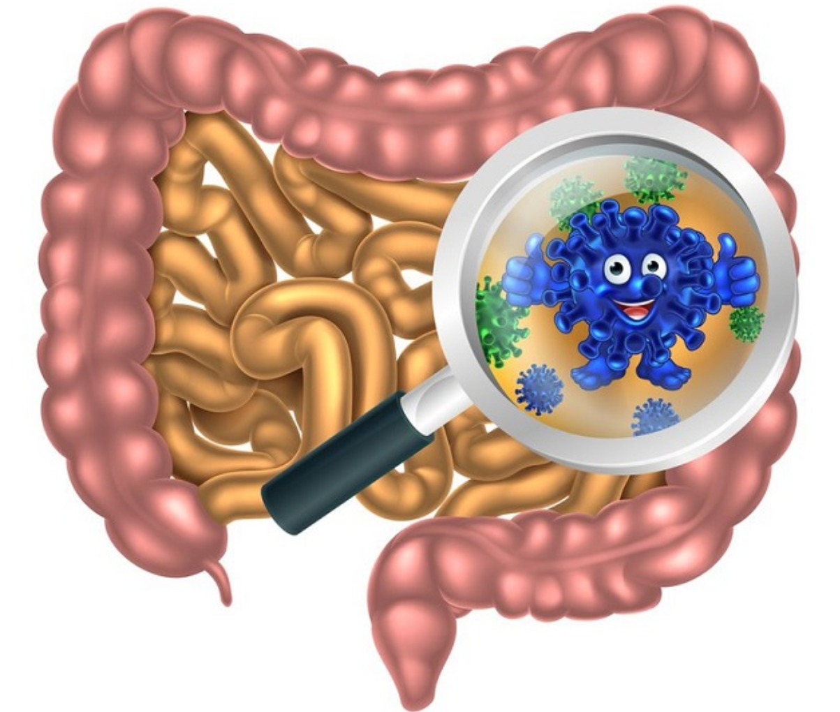 Sự mất cân bằng giữa lợi khuẩn và hại khuẩn khiến niêm mạc đại tràng trở nên nhạy cảm Sự mất cân bằng giữa lợi khuẩn và hại khuẩn khiến niêm mạc đại tràng trở nên nhạy cảm