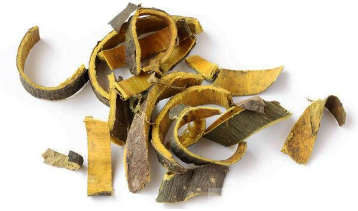 Ho&agrave;ng b&aacute; vừa gi&uacute;p hạ huyết &aacute;p vừa gi&uacute;p giảm mỡ m&aacute;u