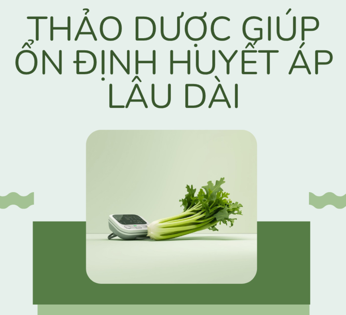 Giải pháp thảo dược ổn định huyết áp, giúp người cao tuổi kéo dài tuổi thọ