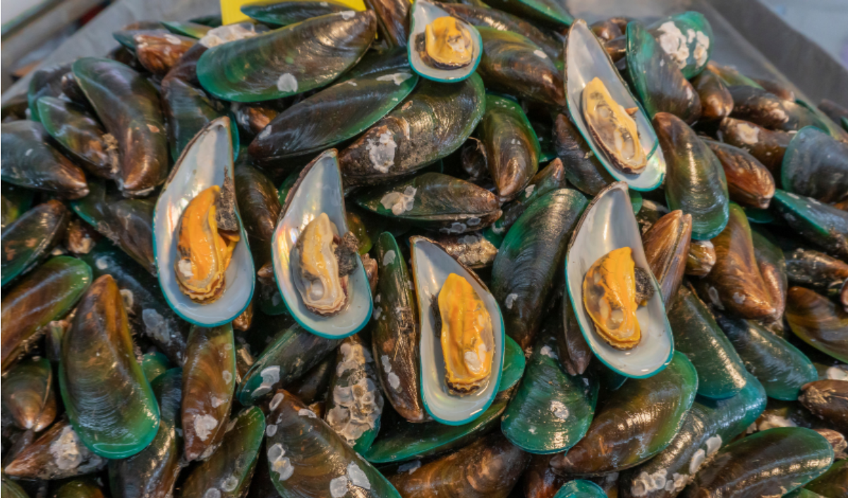 Sản phẩm chứa dầu vẹm xanh gi&uacute;p cải thiện triệu chứng đau lưng do tho&aacute;t vị đĩa đệm L5 S1 hiệu quả