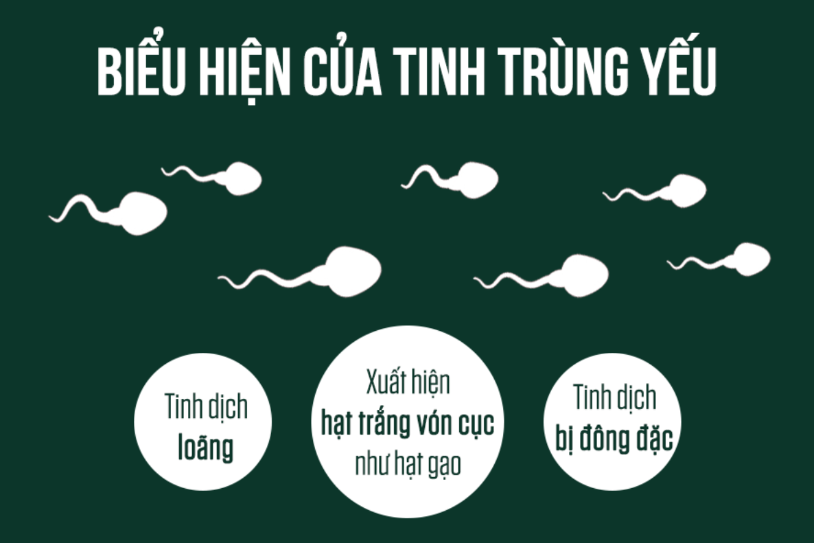 Dấu hiệu nhận biết tinh trùng yếu do sinh lý yếu Dấu hiệu nhận biết tinh trùng yếu do sinh lý yếu