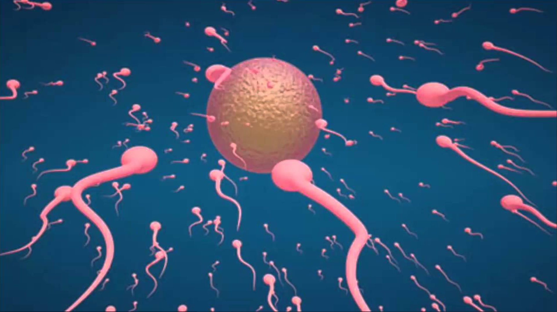 Tinh trùng yếu do sinh lý yếu - Vấn đề nan giải ở nam giới