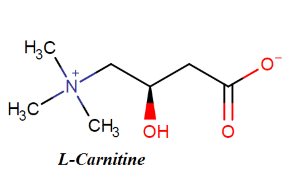 L-Carnitine fumarate gi&uacute;p t&aacute;i tạo da, ngăn mề đay, dị ứng t&aacute;i ph&aacute;t