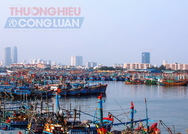 Cảng c&aacute; Thọ Quang hiện l&agrave; cảng c&aacute; lớn nhất miền Trung.