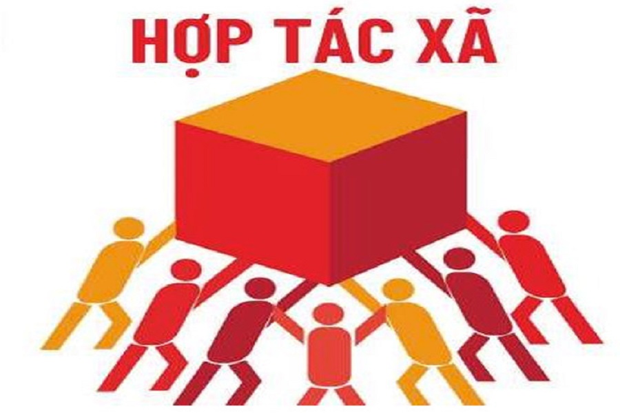 Động lực bao trùm cho việc làm và phát triển bền vững