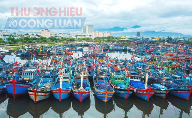 Cảng c&aacute; lớn nhất miền Trung sẽ th&agrave;nh cảng du lịch hiện đại