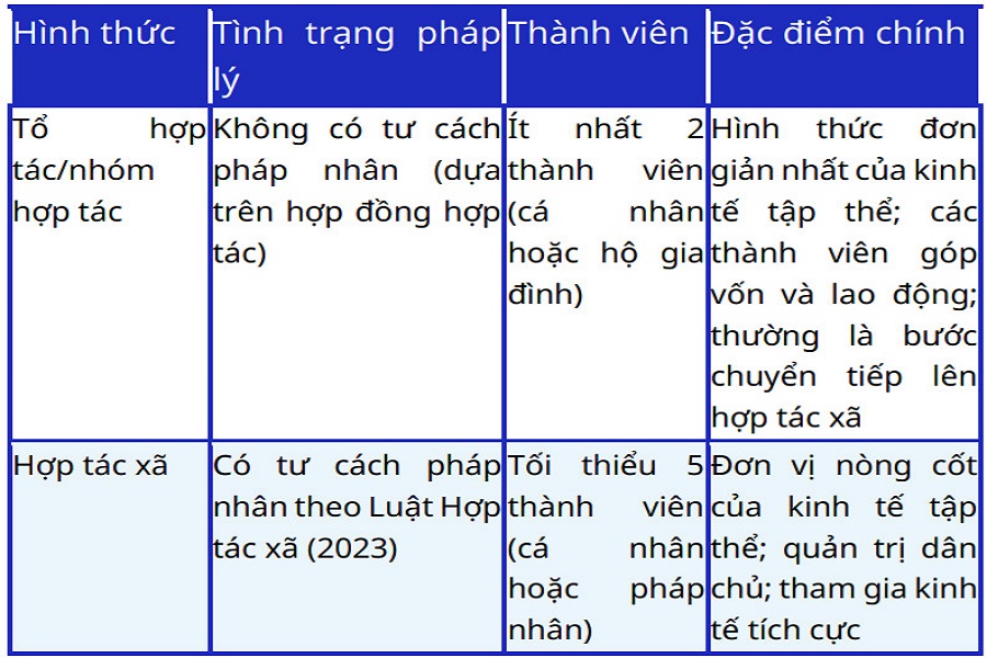 C&aacute;c h&igrave;nh thức kinh tế tập thể ở Việt Nam (Nguồn: VCA, S&aacute;ch trắng Hợp t&aacute;c x&atilde; 2024)