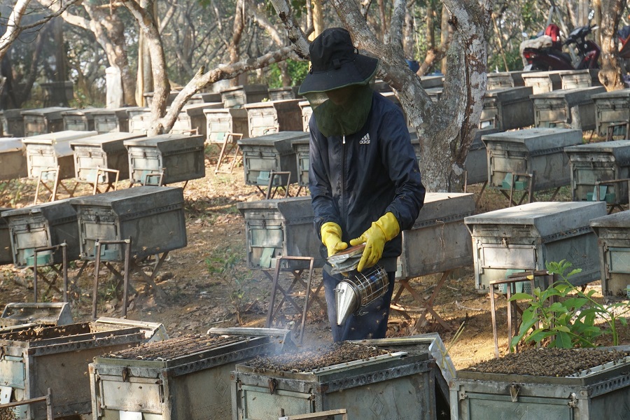 B&igrave;nh phun kh&oacute;i - c&ocirc;ng cụ kh&ocirc;ng thể thiếu với người nu&ocirc;i ong