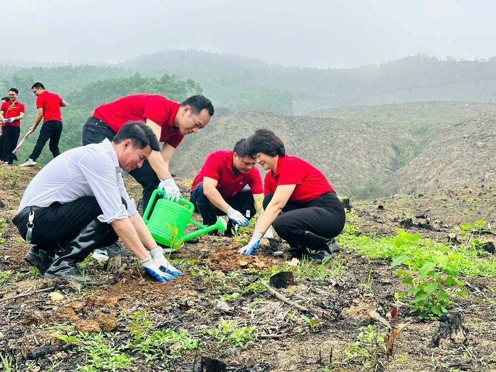 Agribank Nam Thanh Hóa tổ chức lễ ra quân "Tết trồng cây đời đời nhớ ơn Bác Hồ" năm 2026