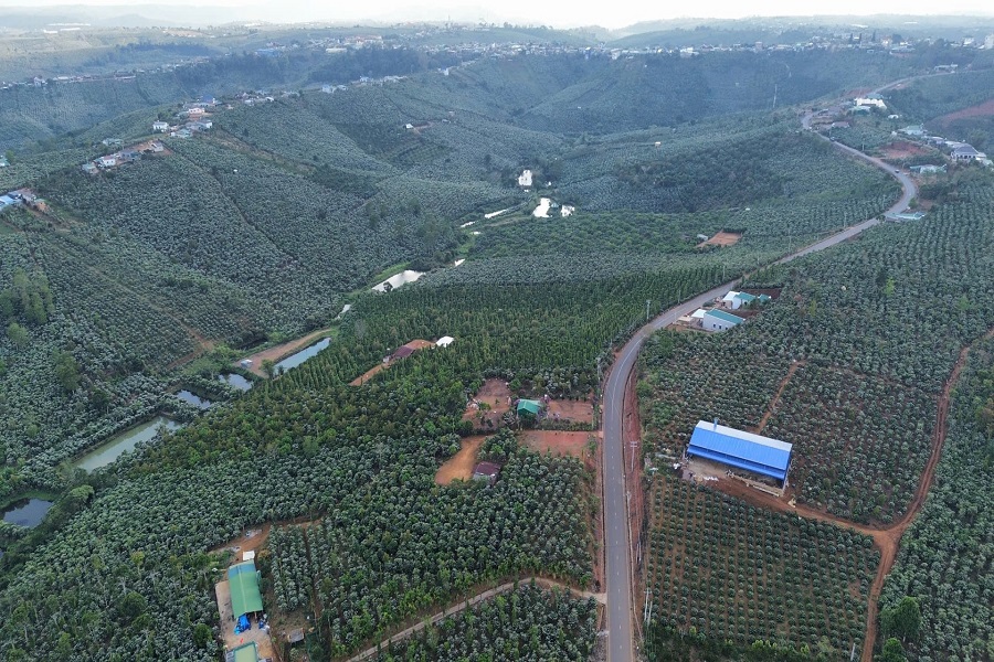 Khi h&agrave;ng trăm ng&agrave;n h&eacute;cta c&agrave; ph&ecirc; đồng loạt bung hoa, đ&oacute; kh&ocirc;ng chỉ l&agrave; t&iacute;n hiệu khởi đầu vụ tr&aacute;i, m&agrave; c&ograve;n tạo n&ecirc;n nguồn mật hoa khổng lồ