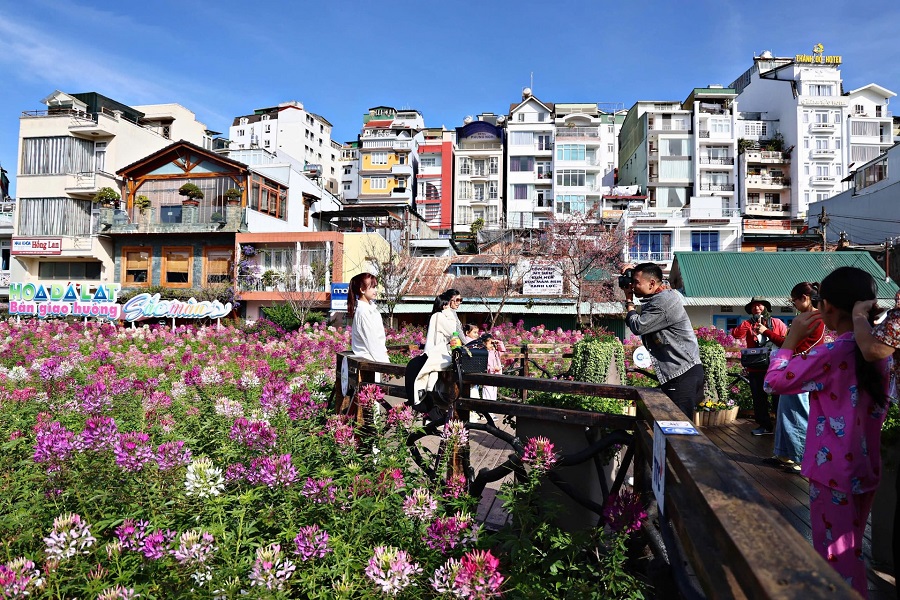 Lâm Đồng: 6 tháng không đường bay - Tái cấu trúc thị trường, làm mới du lịch