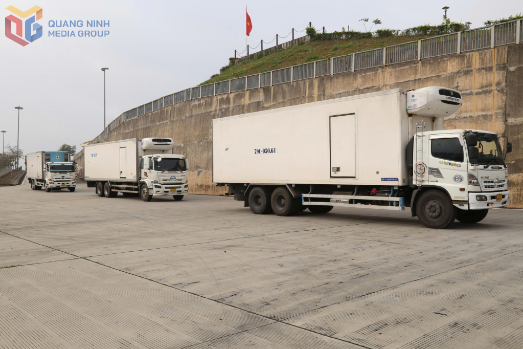 C&aacute;c xe h&agrave;ng chờ xuất khẩu sang Trung Quốc qua Lối mở cầu phao tạm Km3+4, ng&agrave;y 24/2