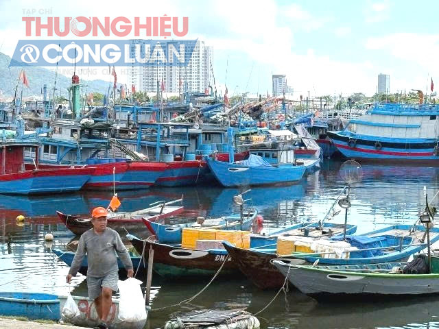 Cảng c&aacute; Thọ Quang hiện l&agrave; cảng c&aacute; lớn nhất miền Trung. Tuy nhi&ecirc;n, cảng c&aacute; n&agrave;y lại nằm trong khu vực trung t&acirc;m th&agrave;nh phố.