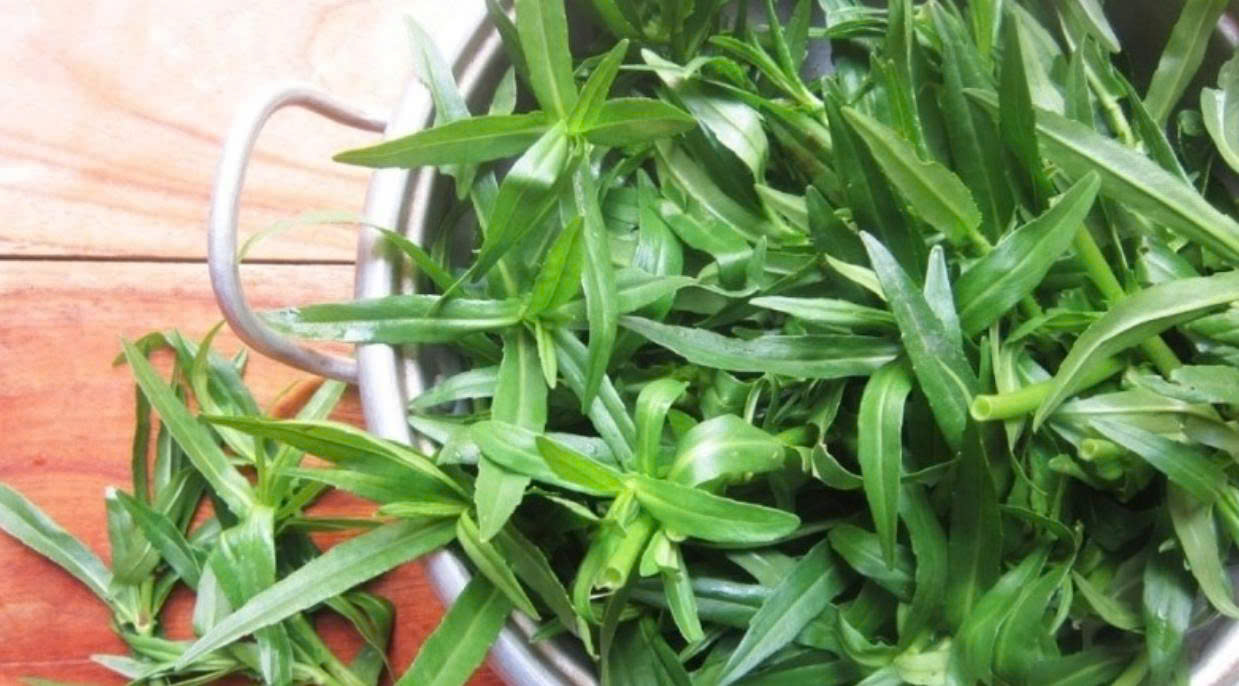 Ít ai biết loại rau ngổ quen thuộc không chỉ là một loại gia vị mà còn có nhiều lợi ích cho sức khỏe