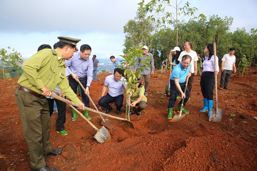 L&atilde;nh đạo tỉnh Quảng Ng&atilde;i, phường Trương Quang Trọng v&agrave; BSR trồng c&acirc;y tr&ecirc;n n&uacute;i Thi&ecirc;n Ấn