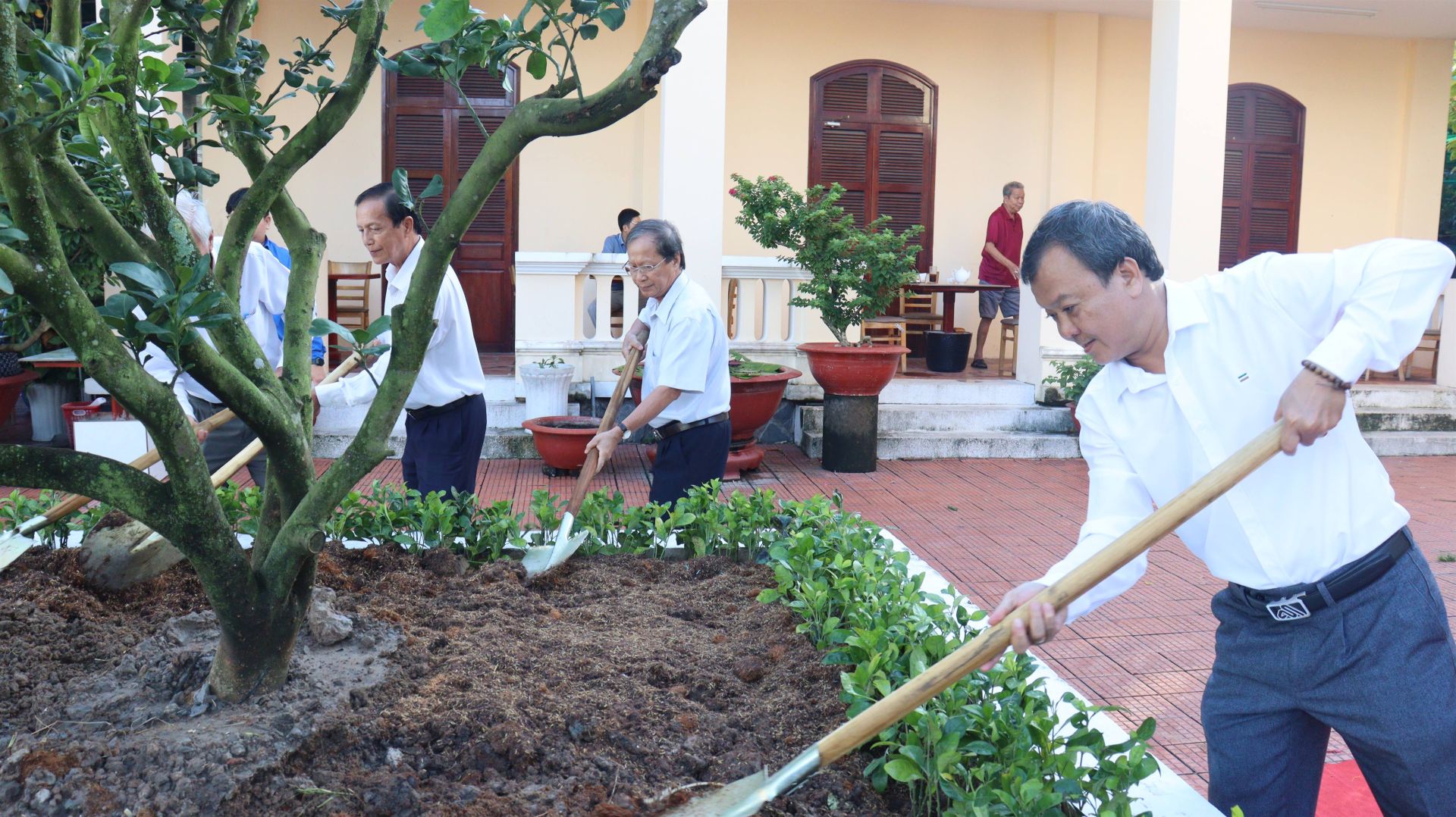 Tây Ninh phát động phong trào ‘Tết trồng cây đời đời nhớ ơn Bác Hồ’