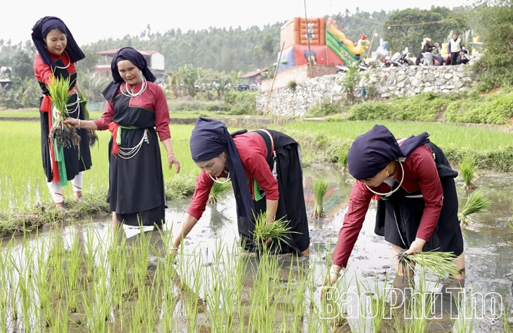 Sau nghi thức, đo&agrave;n người chia l&agrave;m hai tốp: Một tốp xuống ruộng cấy l&uacute;a tr&ecirc;n thửa ruộng đ&atilde; chuẩn bị sẵn mạ.