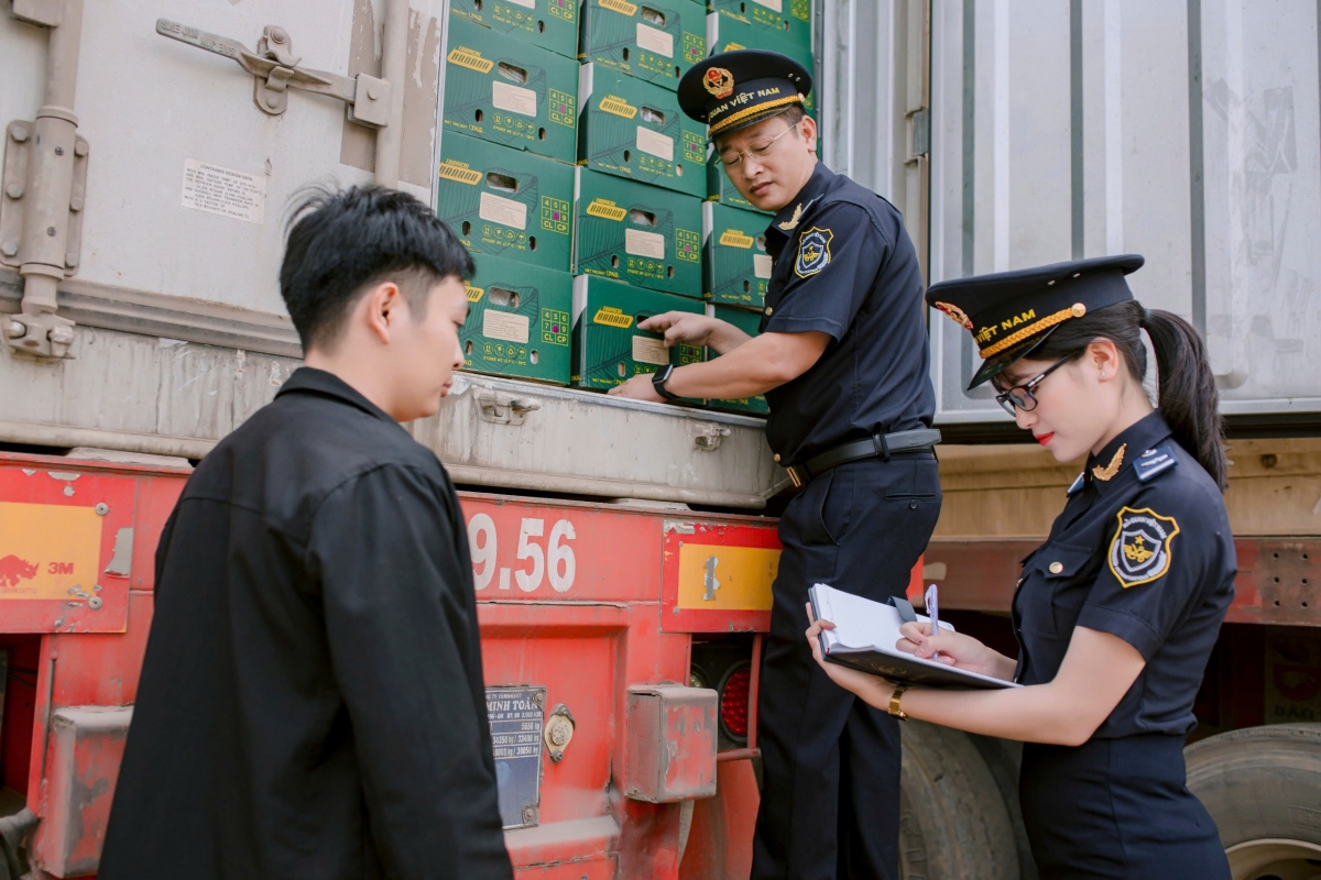 Cục Hải quan: Doanh nghiệp cần chủ động cập nhật mã đơn vị mới trong hệ thống khai báo