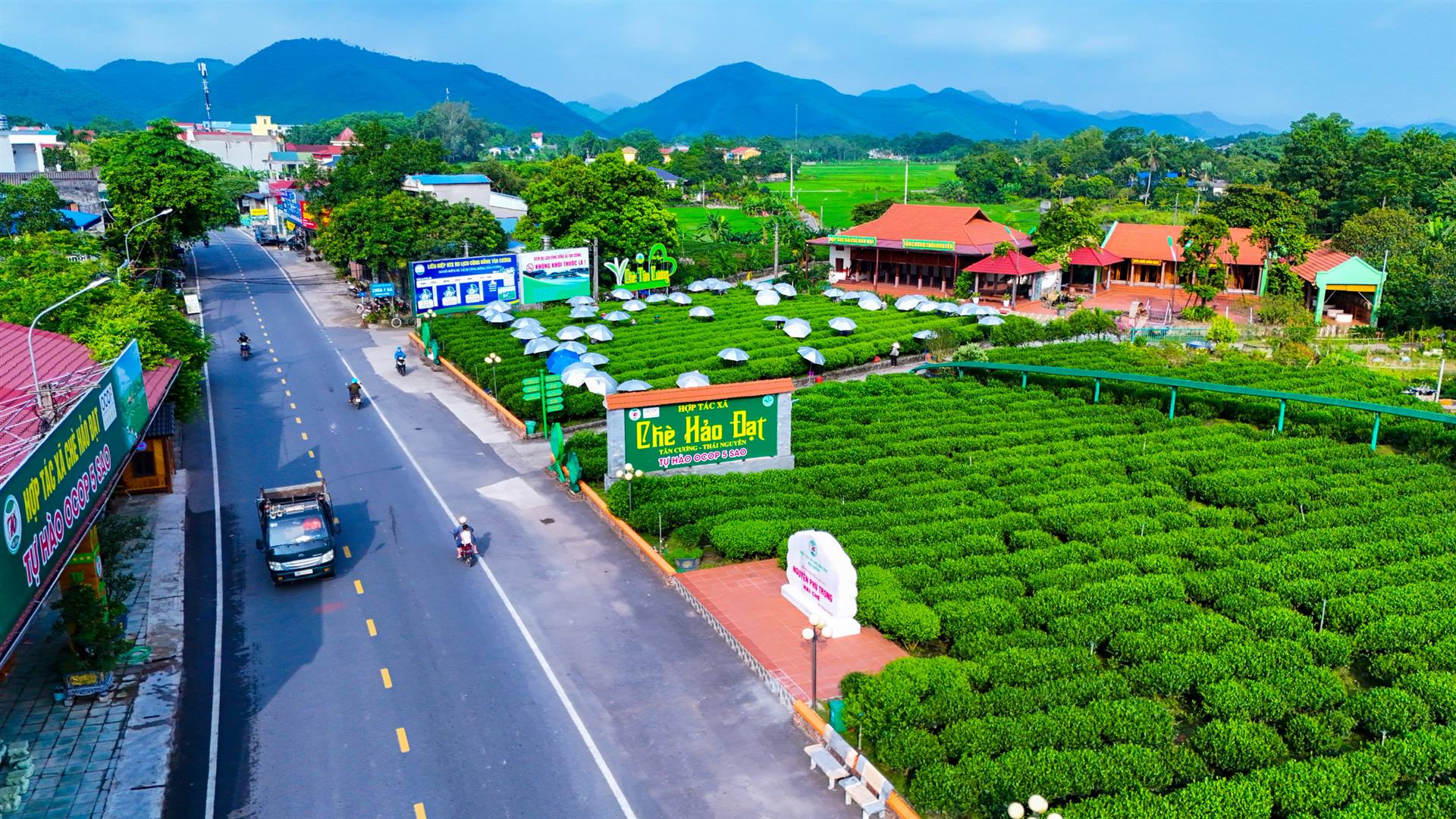 Thái Nguyên triển khai Đề án sản xuất trồng trọt giảm phát thải đến năm 2035