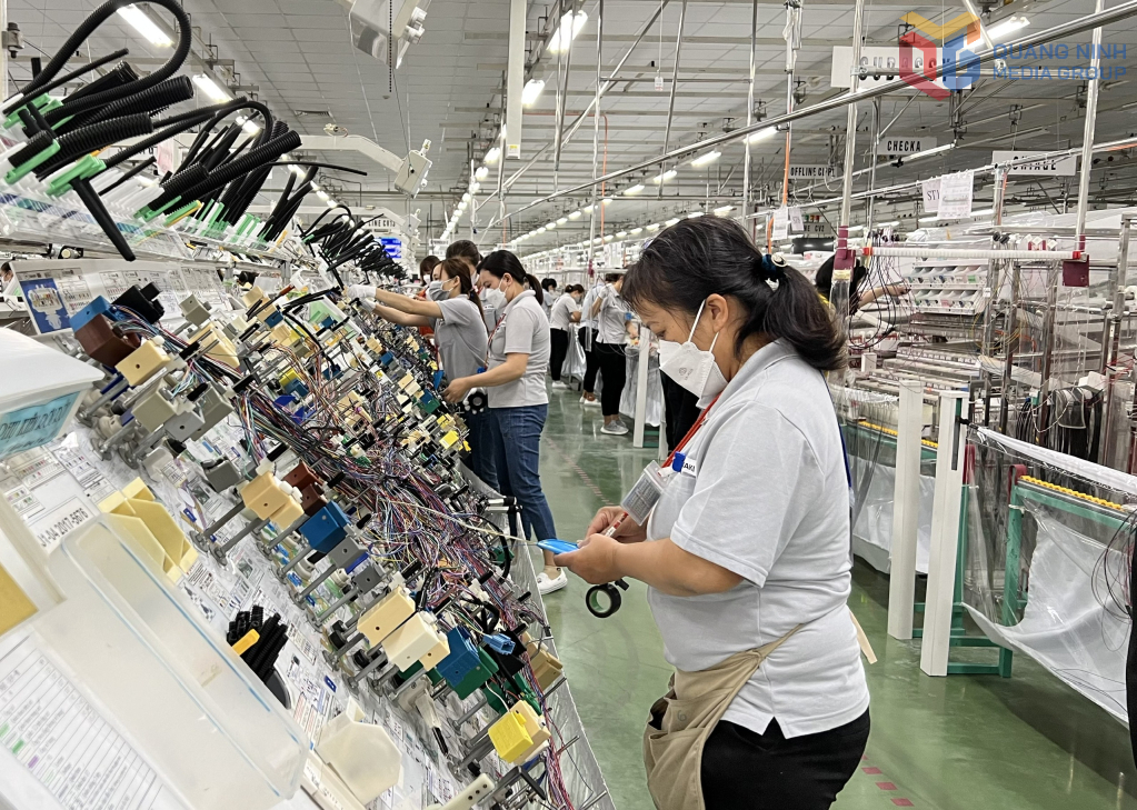 Công nhân lao động làm việc ở Chi nhánh Công ty TNHH Yazaki Hải Phòng Việt Nam tại Quảng Ninh Công nhân lao động làm việc ở Chi nhánh Công ty TNHH Yazaki Hải Phòng Việt Nam tại Quảng Ninh