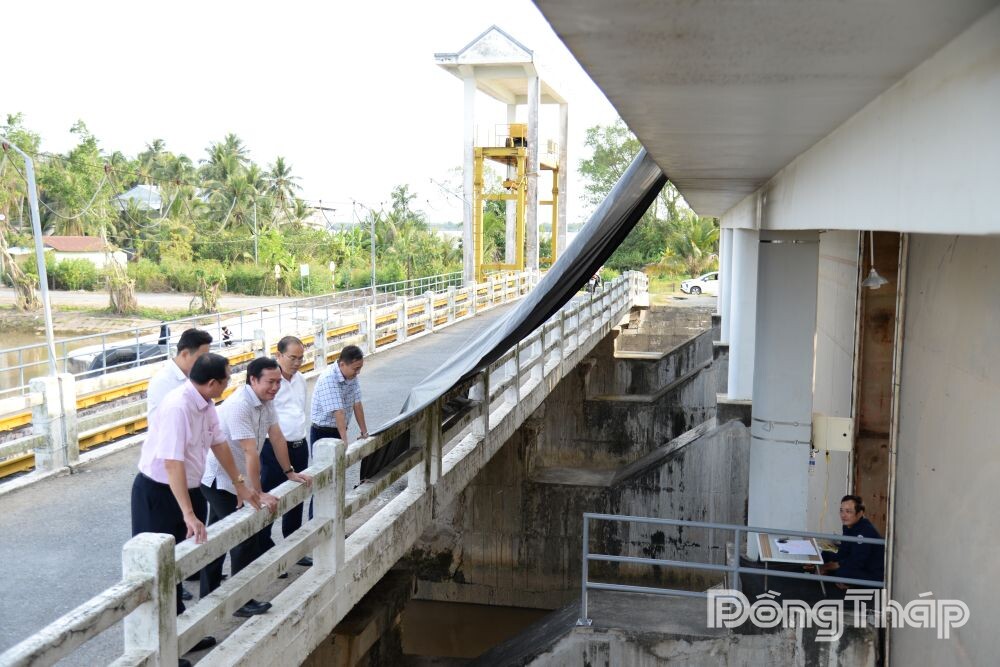 Đồng Tháp chủ động ứng phó hạn, mặn từ sớm, từ xa