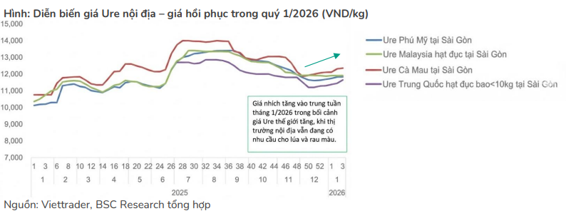 Diễn biến gi&aacute; ure nội địa trong qu&yacute; I/2026