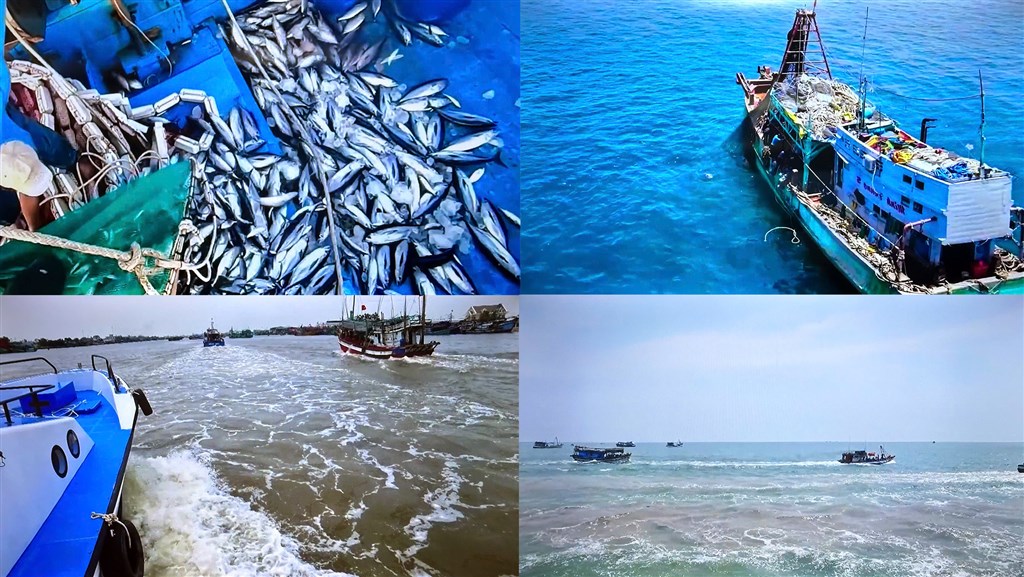 Cà Mau tăng cường tuyên truyền Quy chế phối hợp liên ngành về chống khai thác thủy sản bất hợp pháp