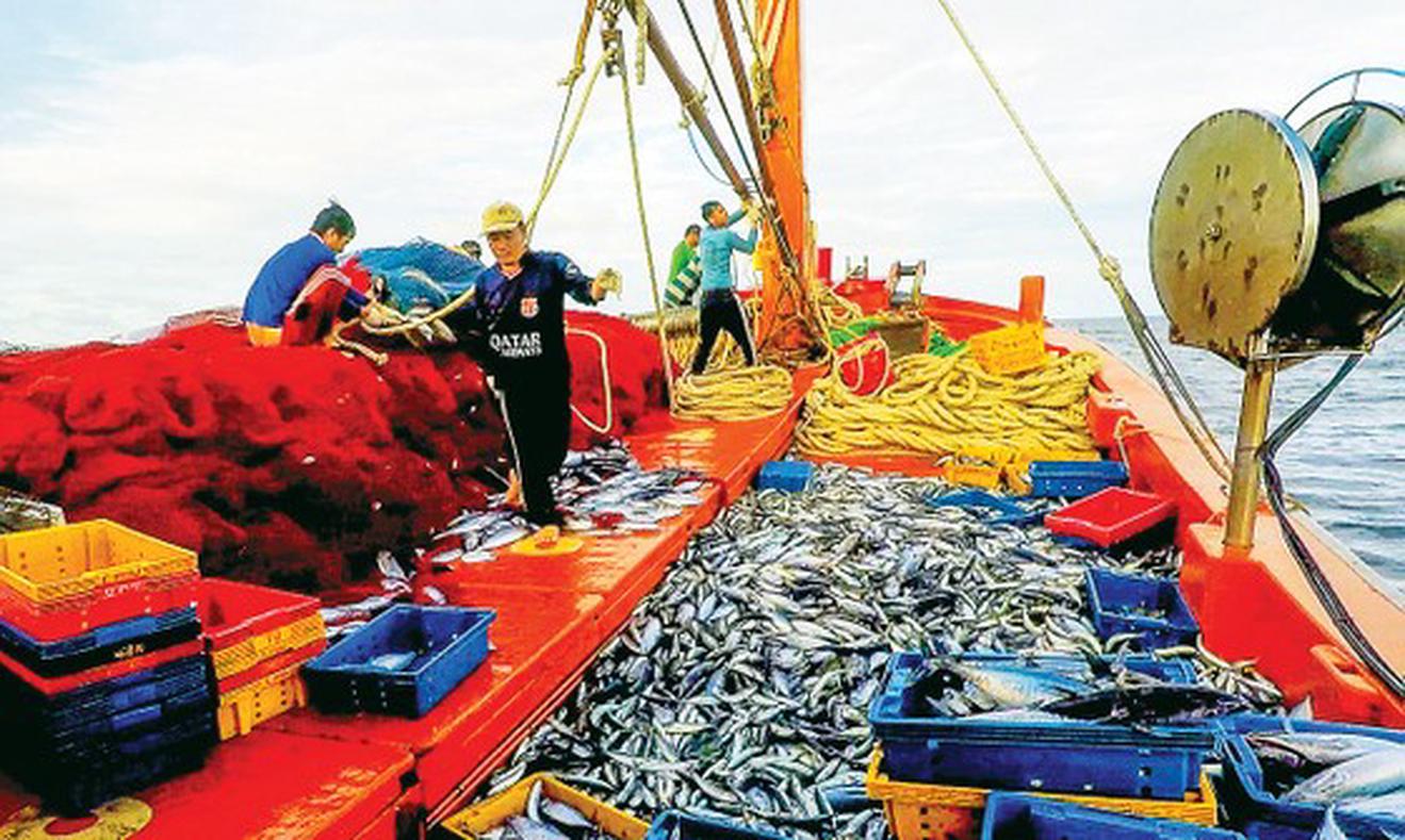 Ninh B&igrave;nh quyết t&acirc;m cao nhất cho đợt kiểm tra EC lần thứ 5, chung tay gỡ &ldquo;thẻ v&agrave;ng&rdquo; thủy sản