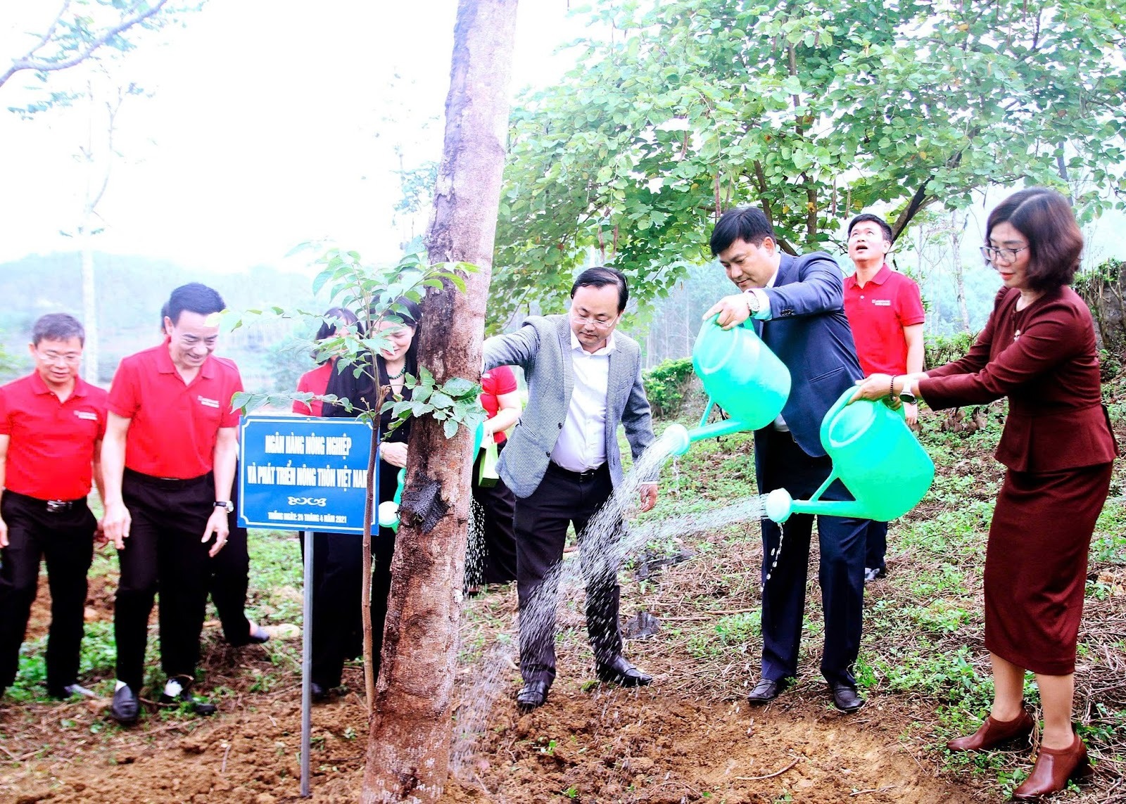 Agribank tham gia Chương trình “Về nguồn” và “Tết trồng cây” ngành Ngân hàng tại Tuyên Quang