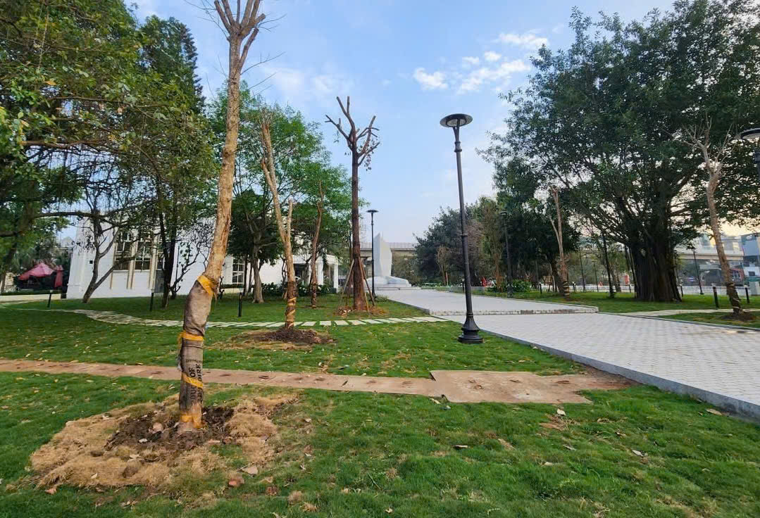 Khu vực cây xanh, thảm cỏ trên bán đảo hồ Đống Đa được chỉnh trang, bổ sung hệ thống chiếu sáng, hình thành không gian công viên mở phục vụ cộng đồng. Khu vực cây xanh, thảm cỏ trên bán đảo hồ Đống Đa được chỉnh trang, bổ sung hệ thống chiếu sáng, hình thành không gian công viên mở phục vụ cộng đồng.