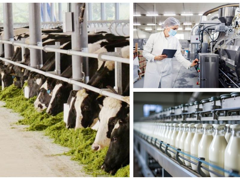 Bộ Công Thương ban hành Thông tư Quy chuẩn kỹ thuật Quốc gia đối với các sản phẩm sữa dạng lỏng