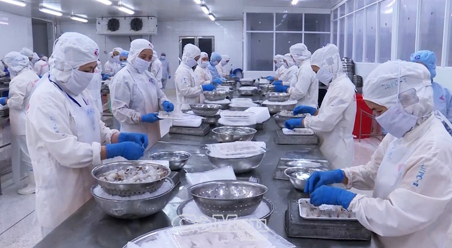 Cà Mau đẩy mạnh cải cách, tạo cú hích cho kinh tế tư nhân bứt phá