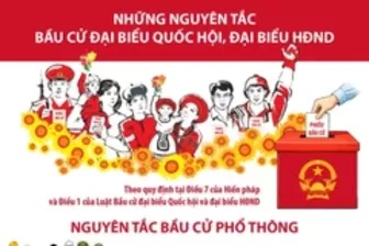 Những nguyên tắc bầu cử đại biểu Quốc hội, đại biểu Hội đồng nhân dân