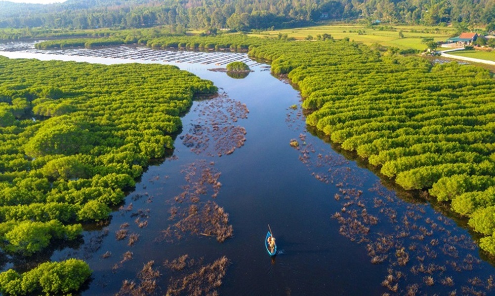 Hưng Yên phát động trồng cây phục hồi rừng ngập mặn ven biển