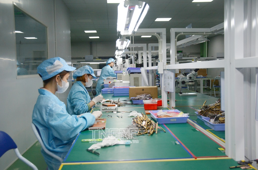 Thái Nguyên: Đẩy mạnh chuyển đổi số cho doanh nghiệp, hợp tác xã và hộ kinh doanh