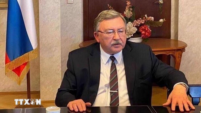 Đại diện thường trực của Nga tại c&aacute;c tổ chức quốc tế ở Vienna (&Aacute;o) Mikhail Ulyanov. Ảnh: IRNA/TTXVN