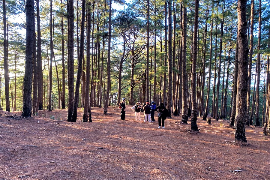 Lâm Đồng: Khám phá cung đường leo núi xuyên rừng đẹp bậc nhất Đà Lạt